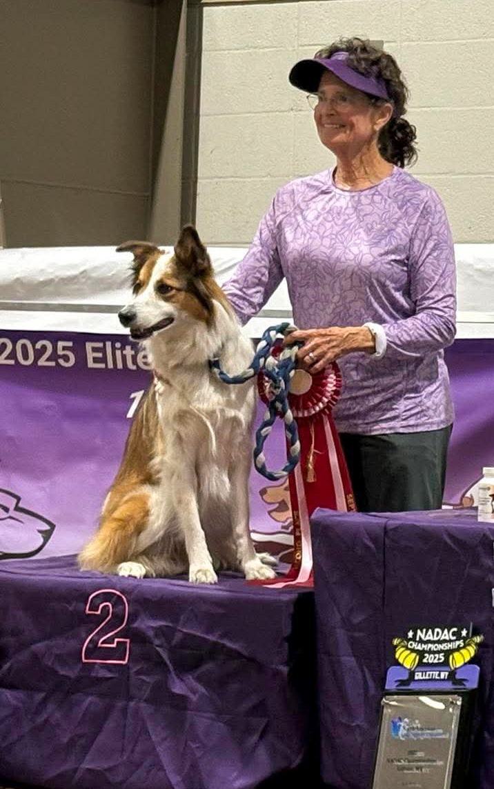 2nd place for 16" dogs
