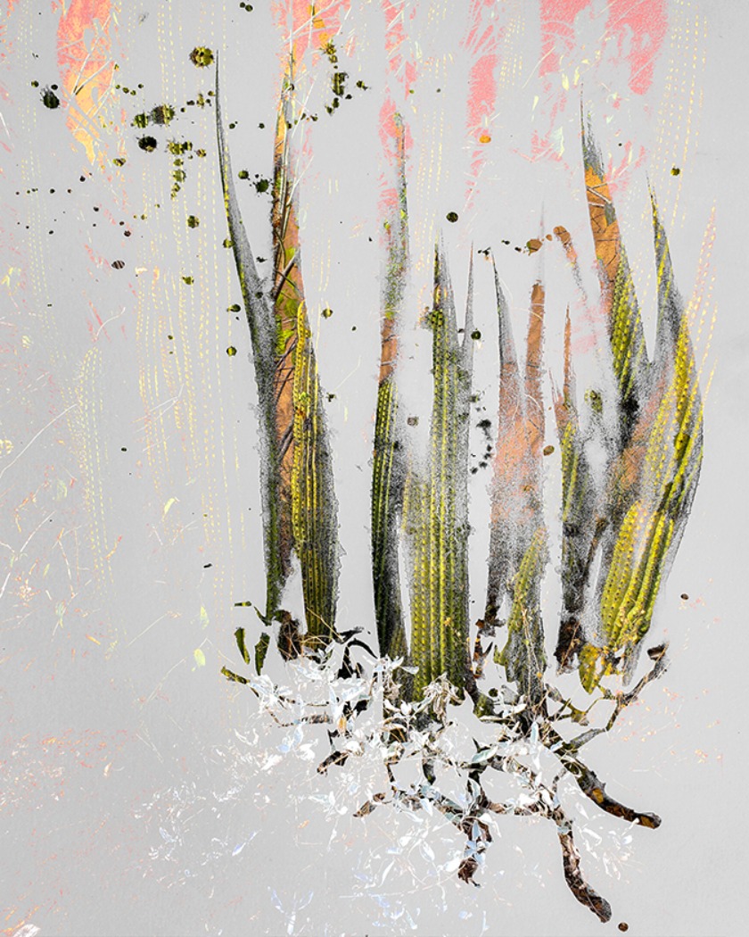 Watercolor, graphite, and digital magic