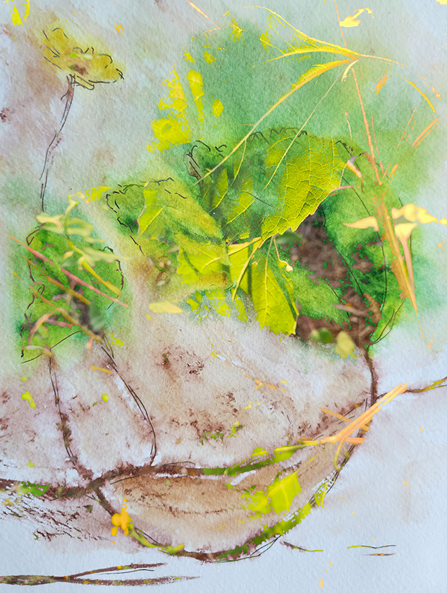 sunflowers Mixed Media - watercolor and digital photography